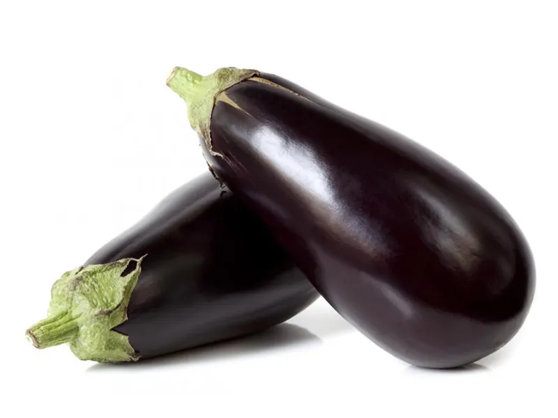 aubergine bébé