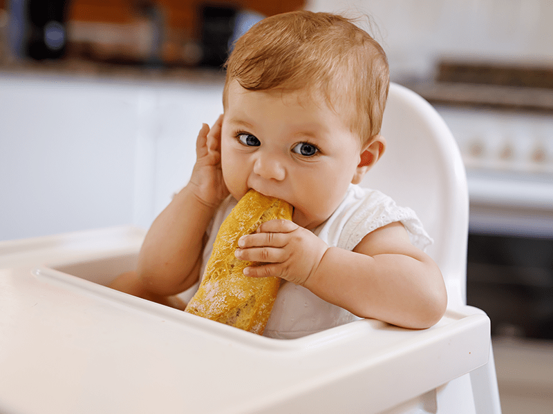 Bébé qui mange un bout de pain