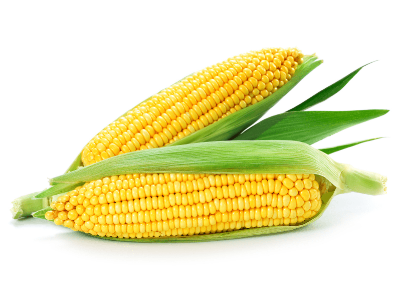 Le maïs : ses bienfaits et sa composition pour bébé 🧐